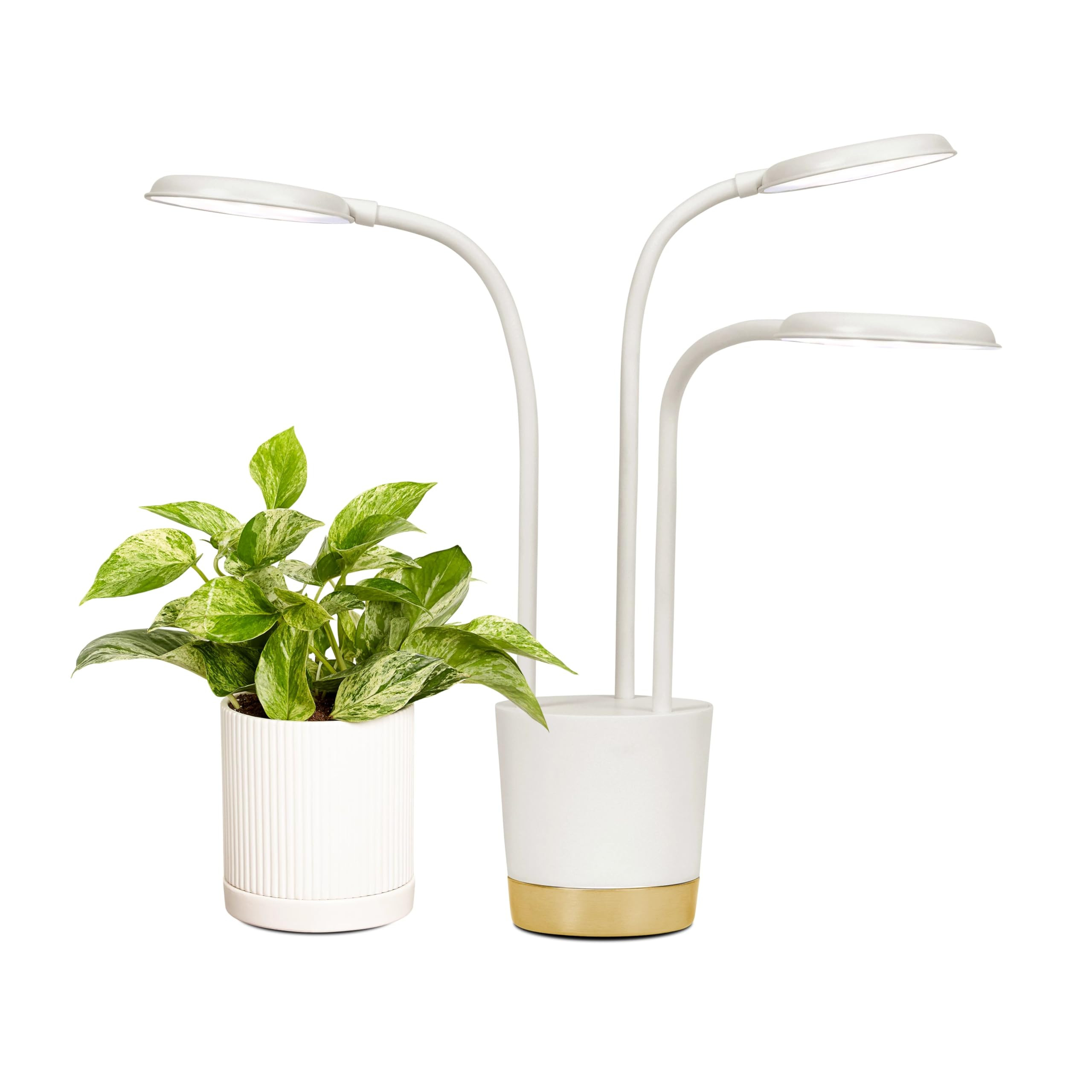 AeroGarden Trio Grow Light for Indoor Plants, Grow Live Plants Anywhere in The Home, Adjustable L... | Amazon (US)