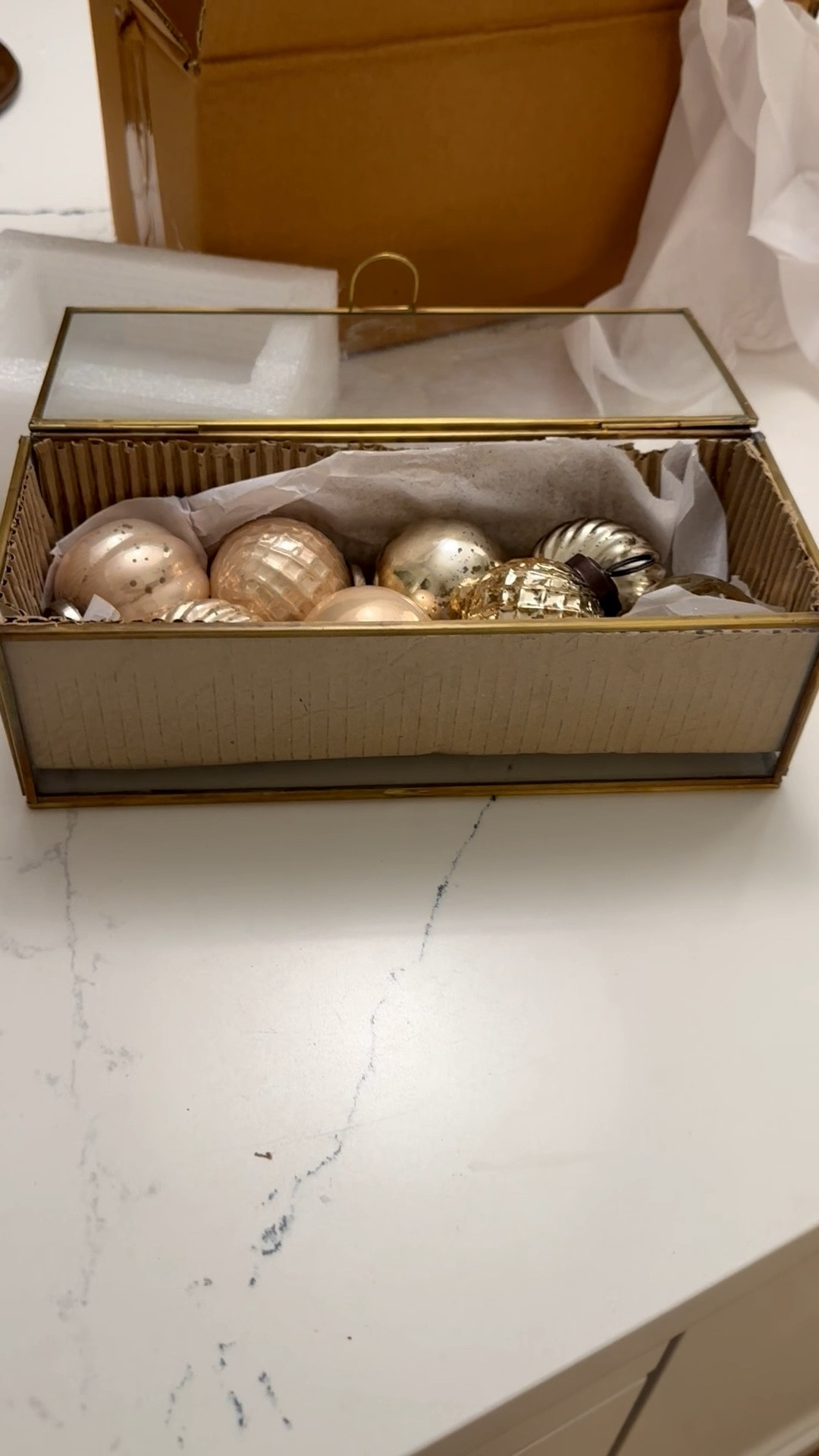 Ornaments in a glass box is so charming


#LTKHoliday #LTKFindsUnder50 #LTKHome
