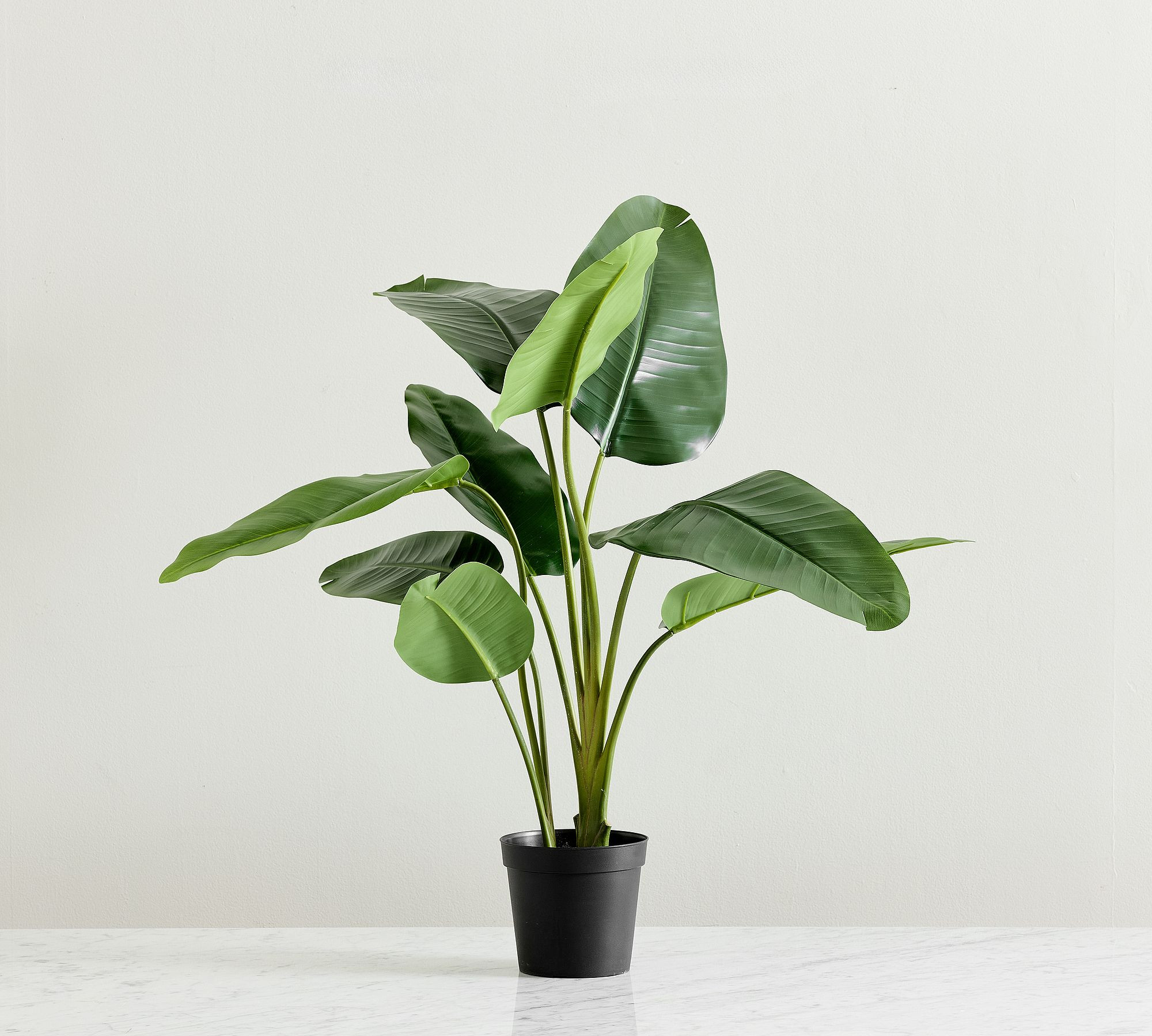 Faux Banana Leaf Tree | Pottery Barn (US)