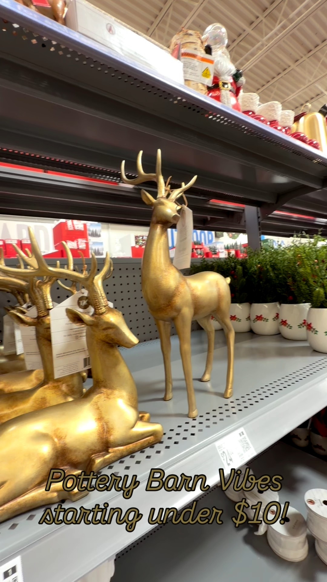  These Walmart Christmas pillows remind me of pottery barn, but they start under $10!
..............
Christmas kids rooms kids Christmas decor holiday pillows Christmas pillows pottery barn dupe pottery barn Christmas gingerbread pillow  Christmas pillow Christmas tree pillows Anthropologie dupe Walmart Christmas Walmart finds Walmart under $10 Walmart new arrivals Walmart decor cheap Christmas decorations last minute Christmas decor viral Walmart finds Christmas decor under $10 kid friendly Christmas decor favorite things party gift idea teacher gift idea playroom decor Christmas candle Walmart decor Walmart Christmas decor Christmas tree decor 

#LTKHoliday #LTKHome #LTKKids

#LTKHoliday #LTKHome #LTKFindsUnder50