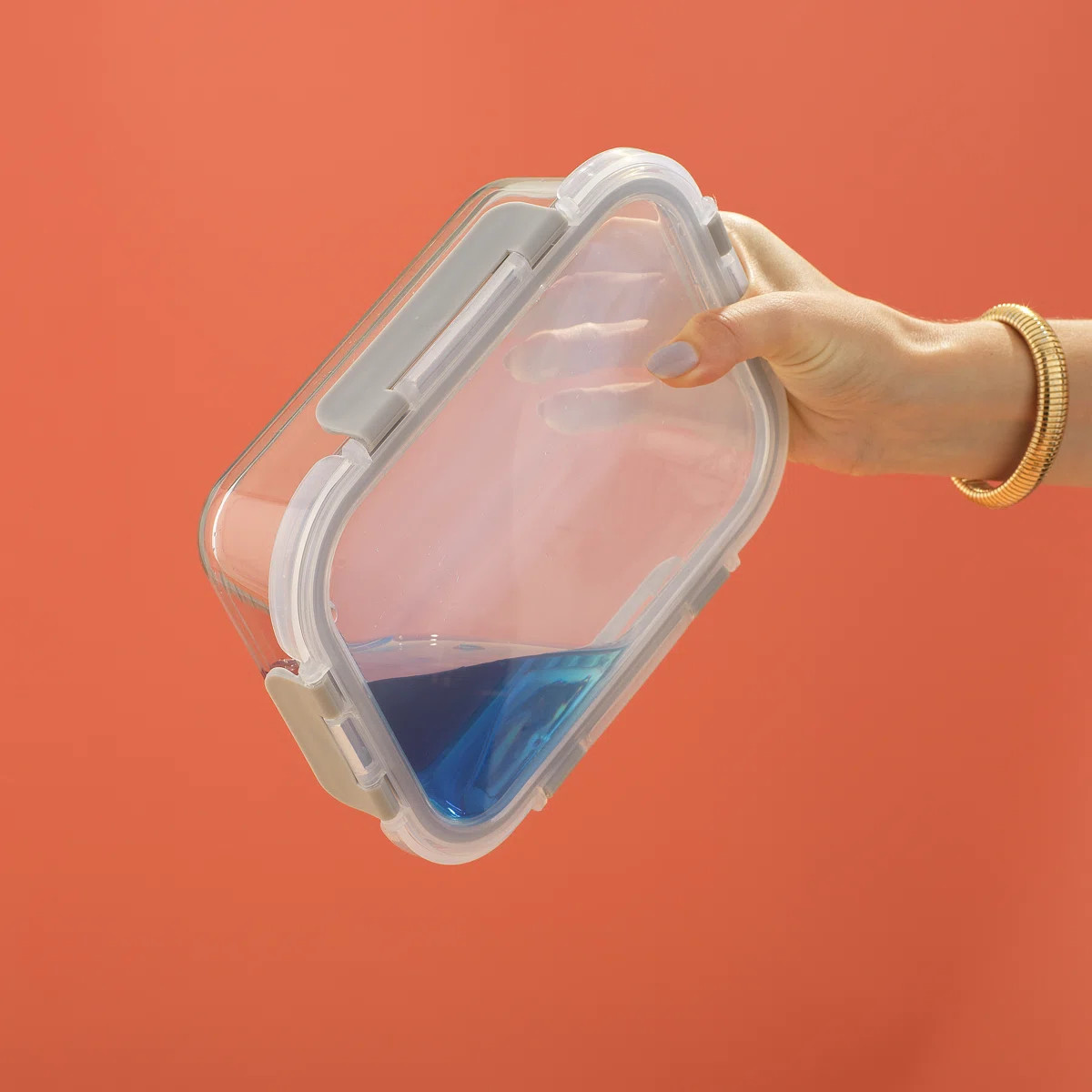 JoyJolt 10-Piece Glass Food Storage Container (Set of 5) | Wayfair North America