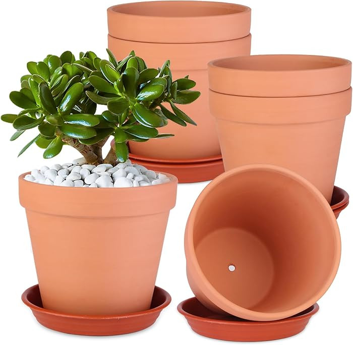 6 Pack 6 Inch Terracotta & Clay Pots with Saucer for Plants, Large Terra Cotta Plant Pot with Dra... | Amazon (US)