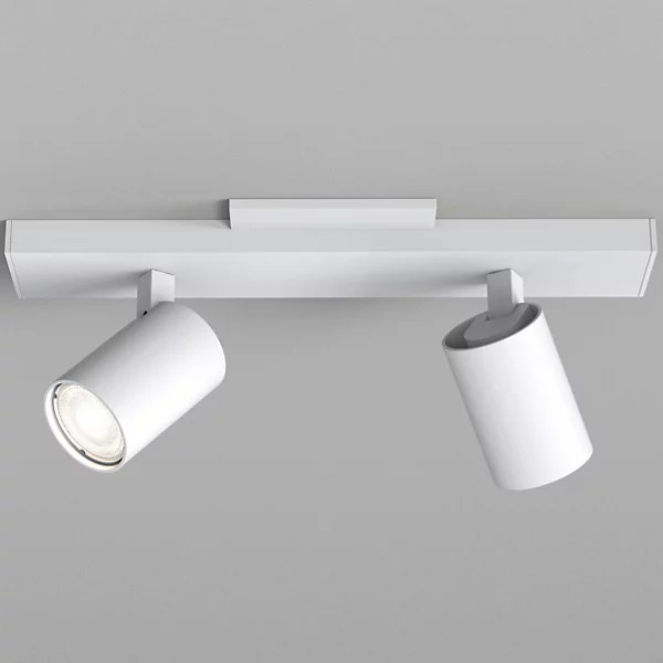 Ascoli Twin Light Track Fixture | Lumens