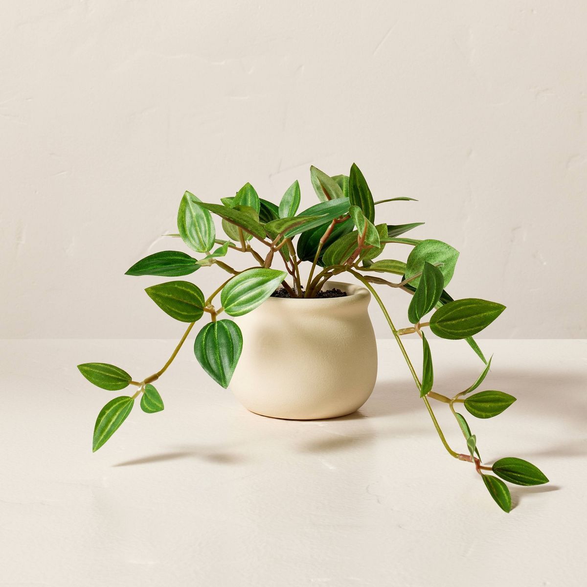7" Mini Faux Peperomia Plant - Hearth & Hand™ with Magnolia | Target