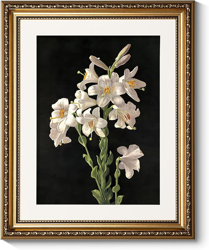 ARPEOTCY Vintage Gold Framed Wall Art Decor, Classic Floral Lily Flower Paintings, Victorian Wall... | Amazon (US)