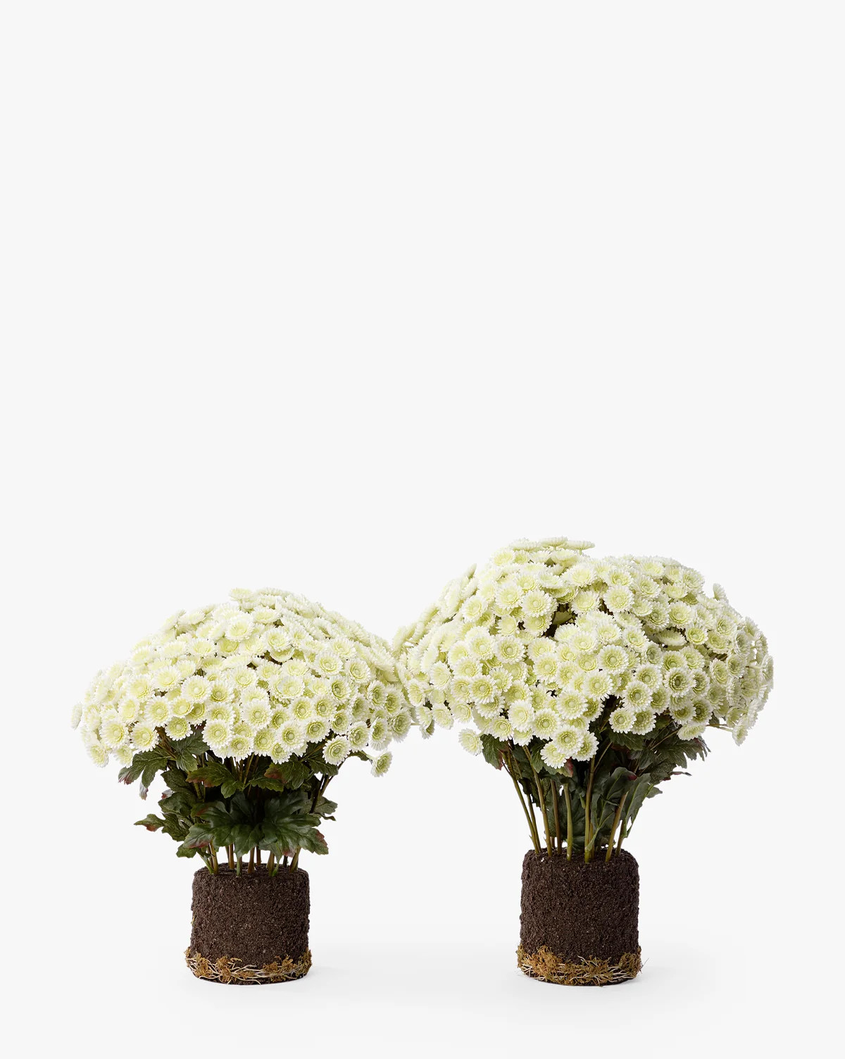 Faux Mum Drop-In | McGee & Co. (US)