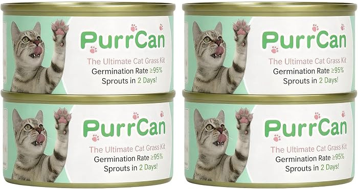 Cat Grass Kit - 4 Cans with Premium Non-GMO Organic Seeds, Care-Free, No Soil, Perfect for Beginn... | Amazon (US)