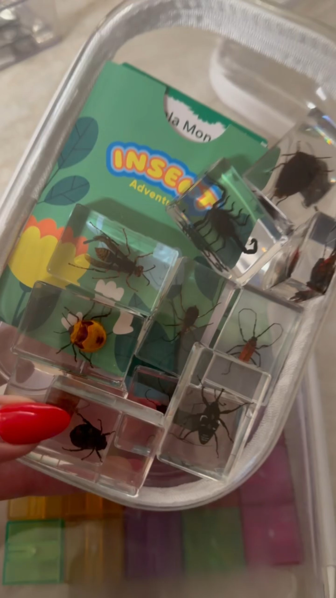 #LTKstorytime #LTKHome #LTKKids