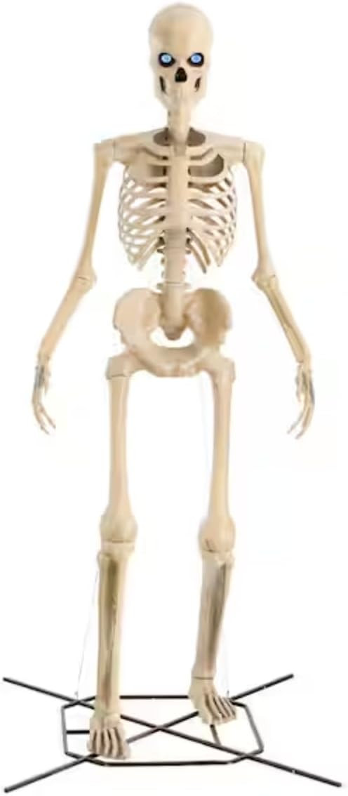 12 FT Giant-Sized Skelly Halloween Skeleton with LifeEyes LCD Eyes | Amazon (US)