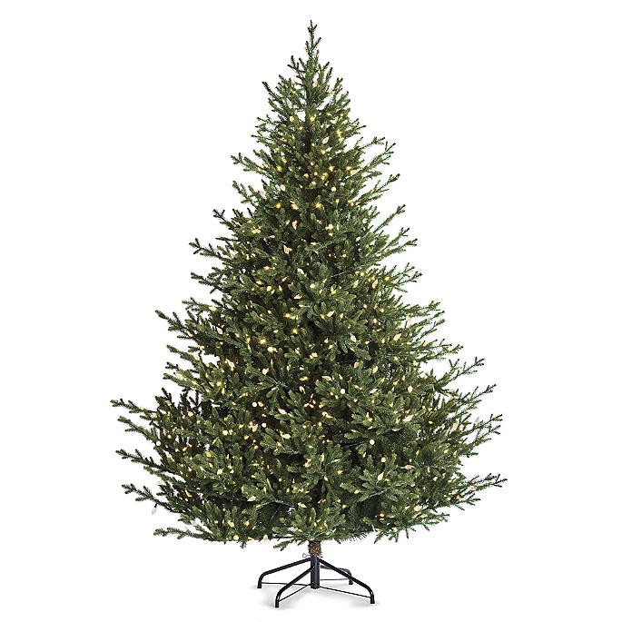 Color Changing Oxford Fir Full Profile Tree | Frontgate | Frontgate