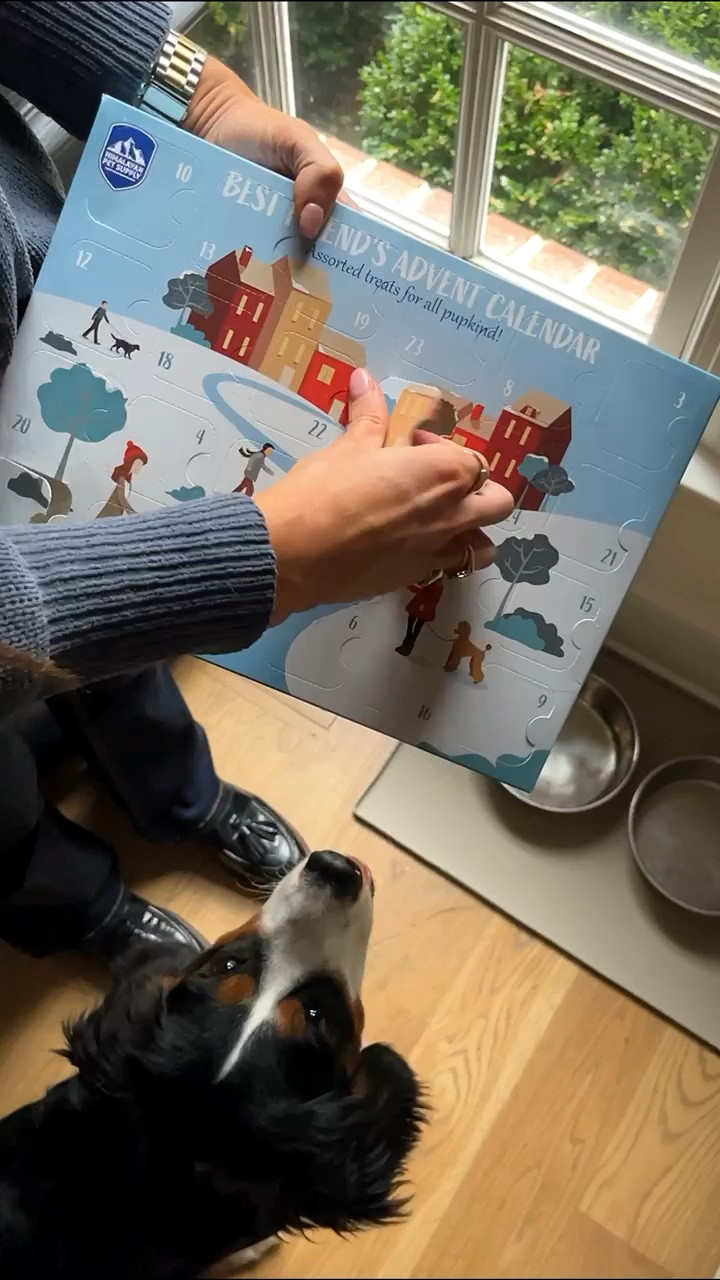There’s an advent calendar for everyone — even your pup!

#LTKFamily #LTKFindsUnder50 #LTKSeasonal