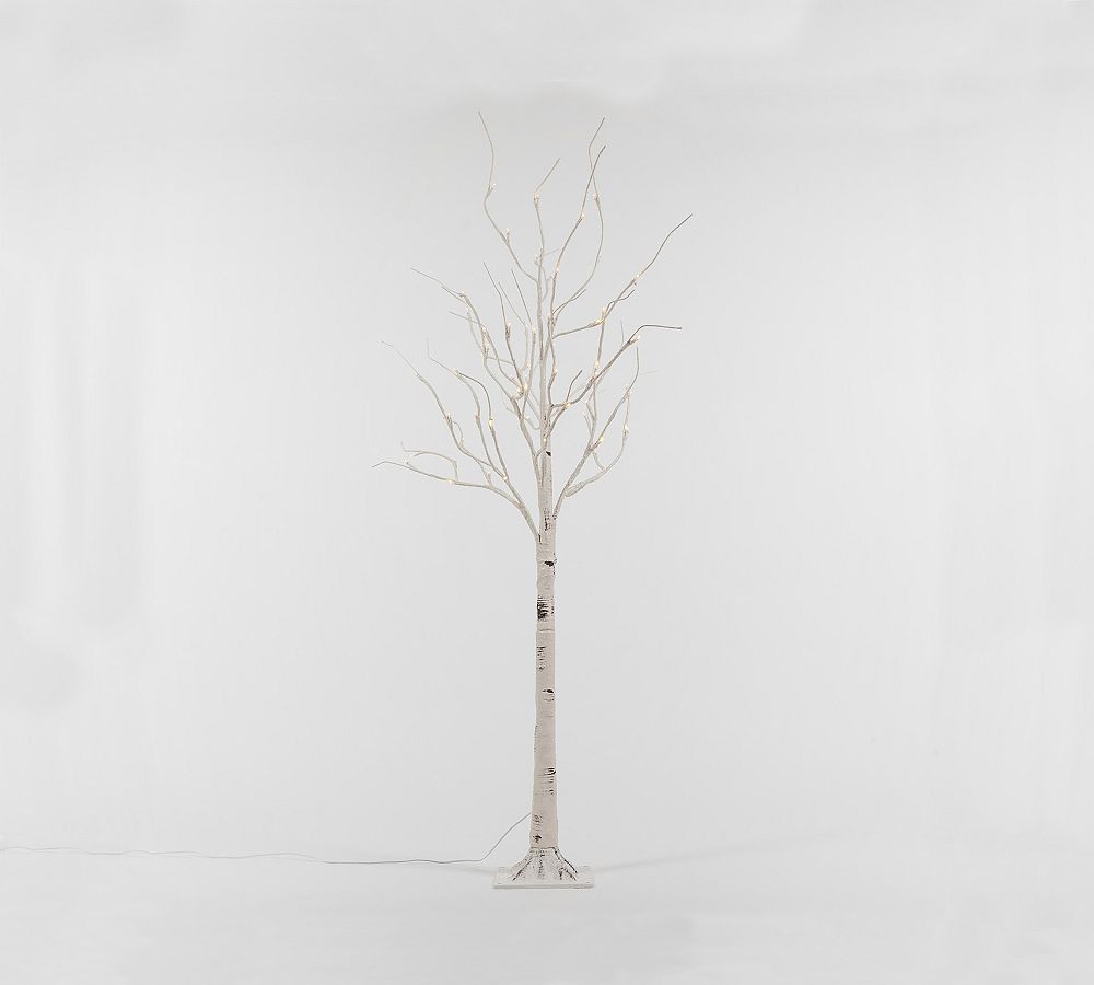 Lit LED Faux Birch Trees | Pottery Barn (US)
