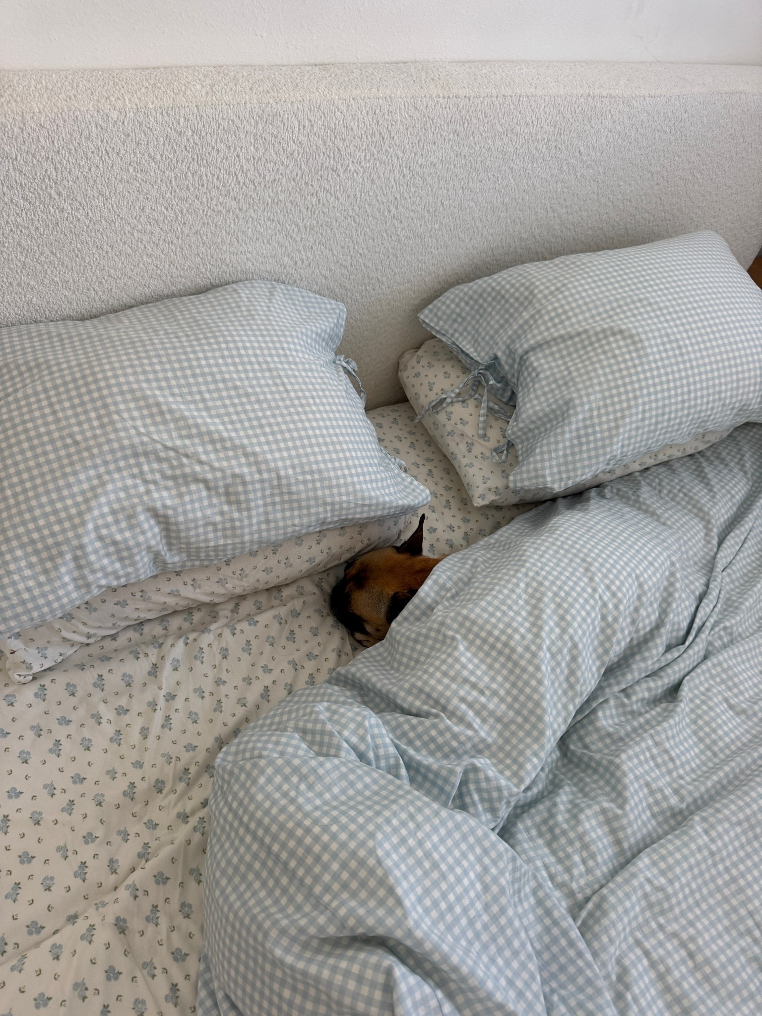 The softest sheets ever, worth it for the money imo! 

#LTKStyleTip #LTKHome #LTKFindsUnder100