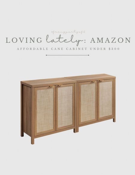 Affordable cane cabinet from Amazon. Pair 2 or more together to create a larger console. Perfect for toy storage!

#LTKhome #LTKstyletip #LTKFind