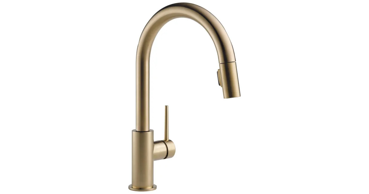 Delta 9159-CZLS-DST Trinsic 1.8 GPM Single Hole | Build.com | Build.com, Inc.