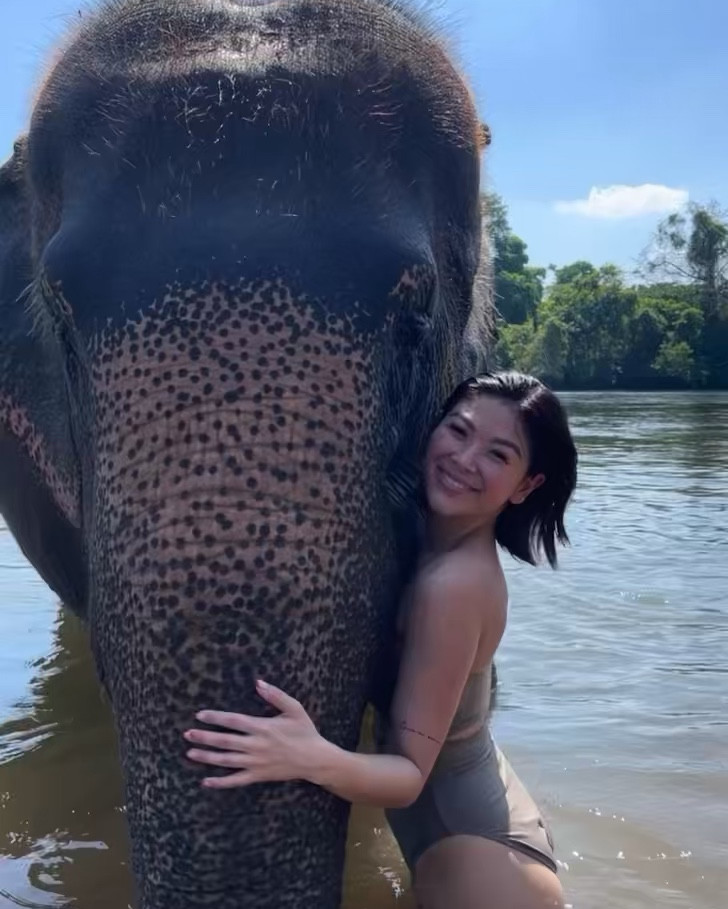 Dreaming of elephants 🐘💕🥹

Wearing: sold out Skims cutout one piece swimsuit 

#LTKPetite #LTKActive #LTKStyleTip