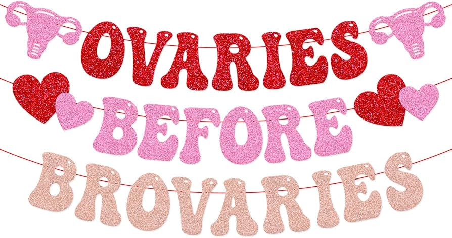 Galentine's Day Decoration Ovaries Before Brovaries Banner Happy Valentine's Day Be My Galentine ... | Amazon (US)