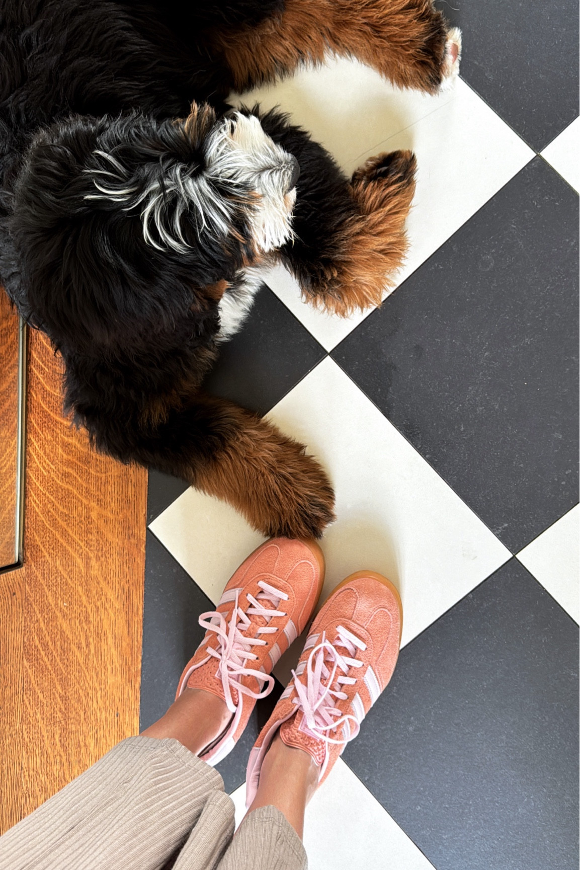 Colorful sneakers are my new fave  

#LTKshoecrush