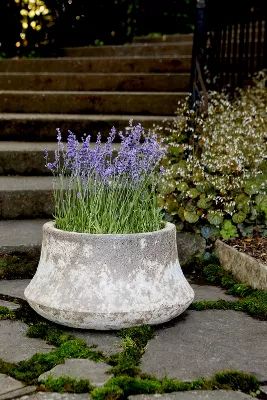 Barnacle Bell Planter | Anthropologie (US)