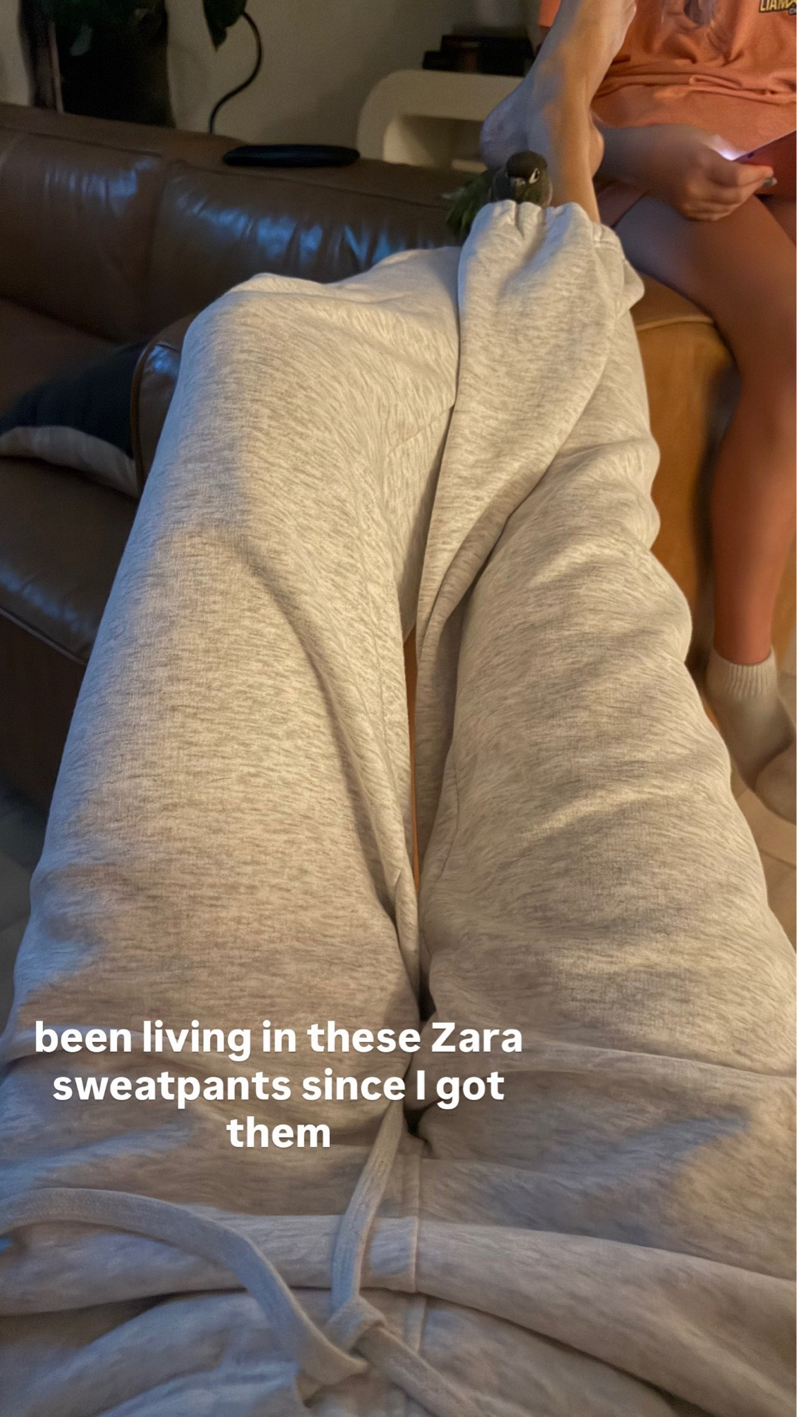 I wear small in the Zara sweatpants and a medium in the sweatshirt ￼

#LTKActive #LTKHome #LTKdayinmylife