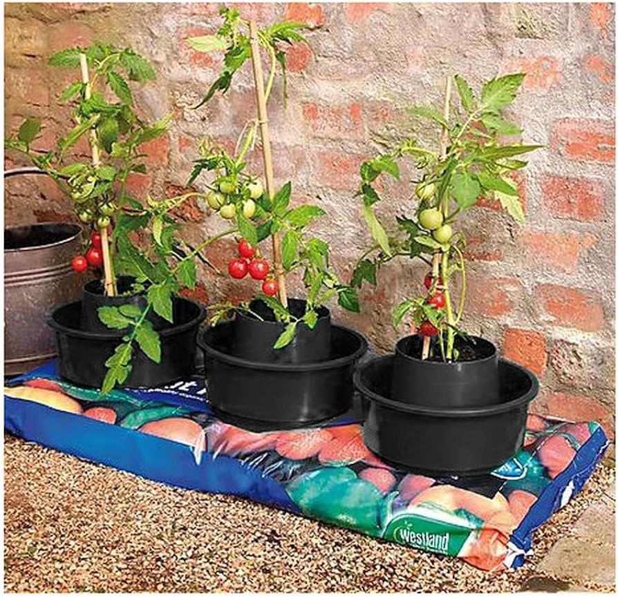 Gardening Naturally Tomato Watering Grow Pots Black (Pack of 3) | Amazon (UK)