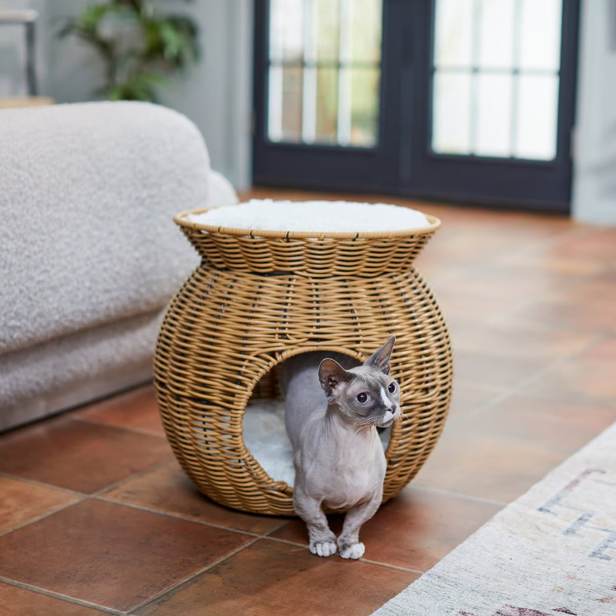 Frisco Round Wicker Cat Condo with Top Perch, Natural | Chewy.com