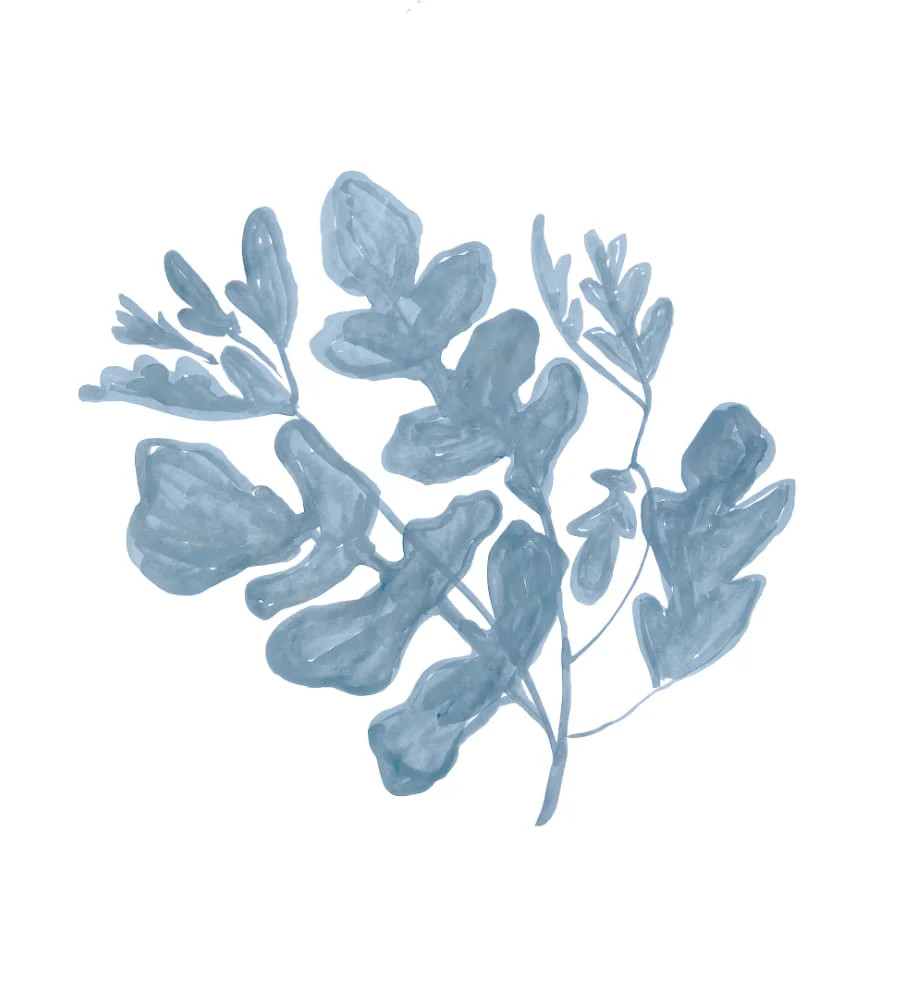 Arugula | Chasing Paper