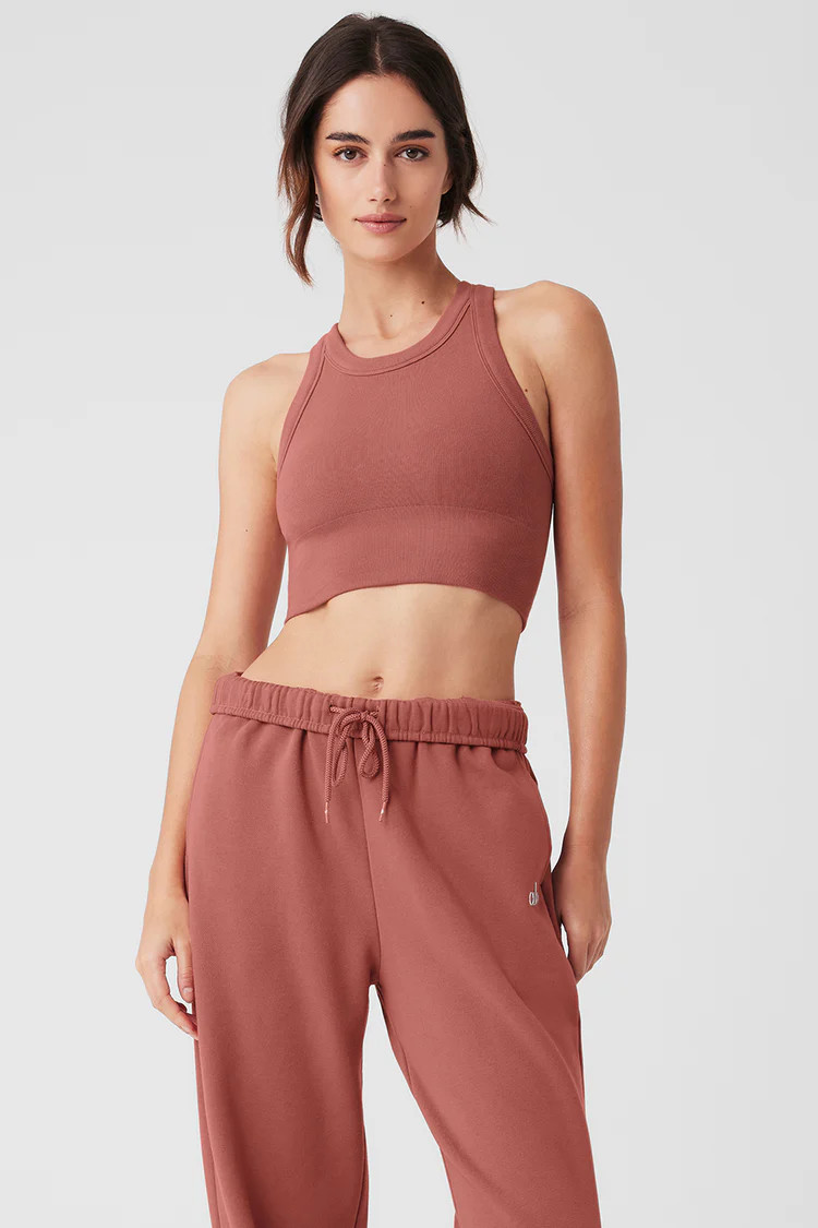 Seamless Delight High Neck Bra | Alo Yoga (US)