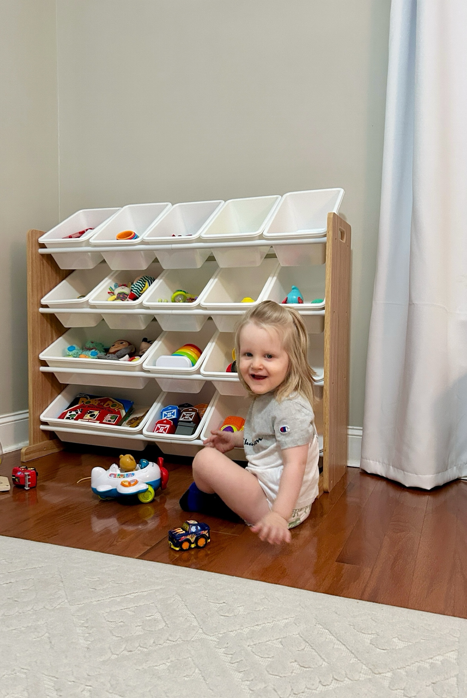 Amazon toy storage/organizer. 

#LTKHome #LTKKids #LTKBaby
