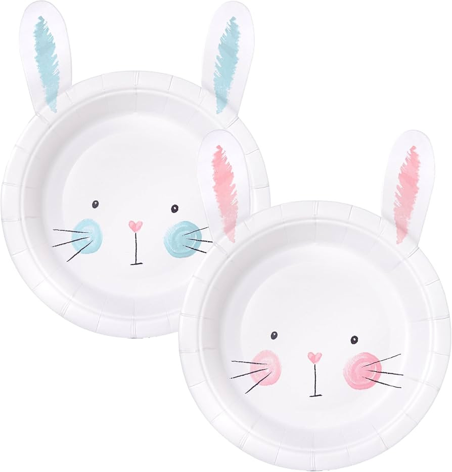 Cheerland Bunny Birthday Paper Plates in Pink and Blue Rabbit Party Decoration for Gender Reveal ... | Amazon (US)