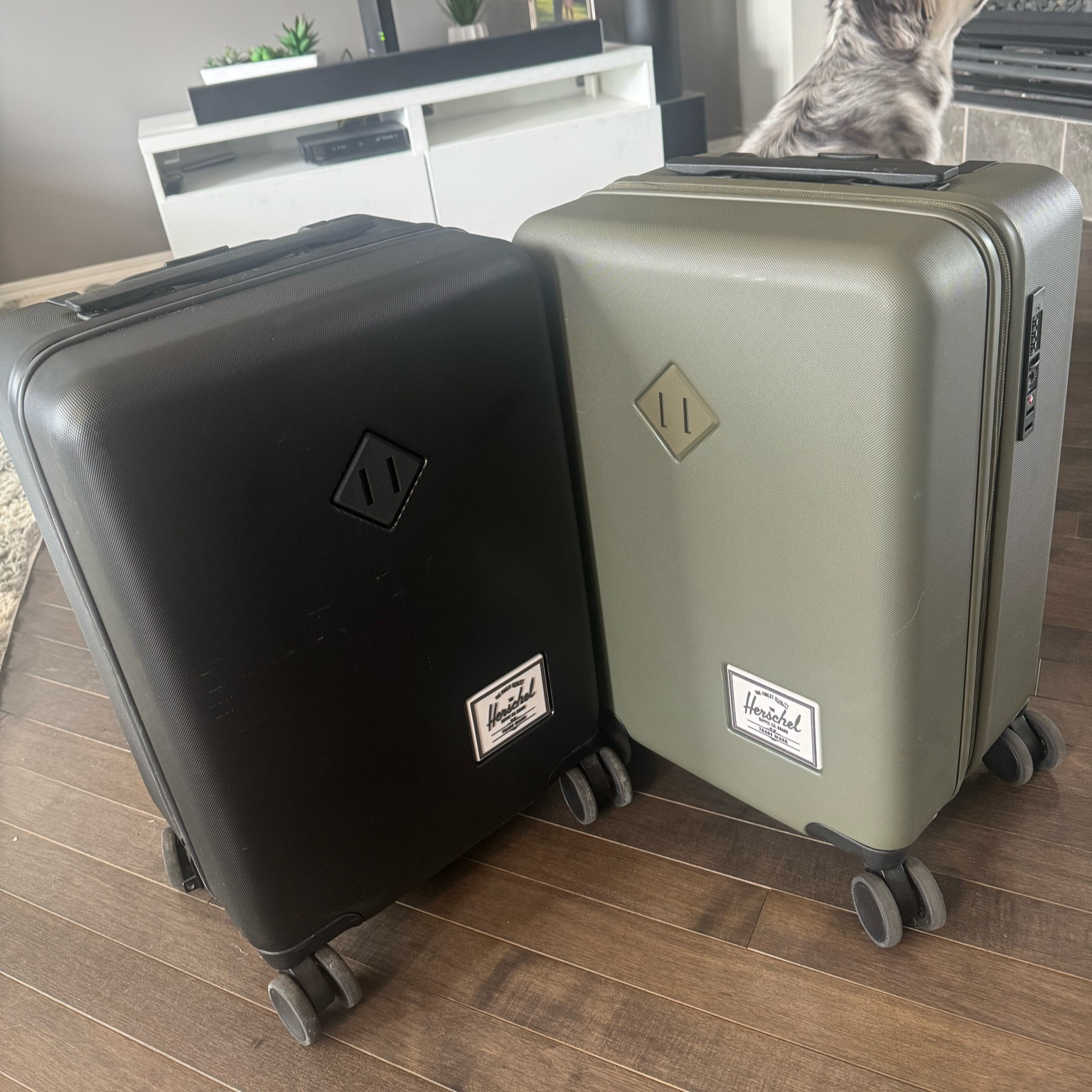 Travel carry ons 💚🖤

Compatible with all airlines in Canada United States and Europe for carry on sizing 💪🏼💪🏼

#LTKGiftGuide #LTKeurope #LTKtravel