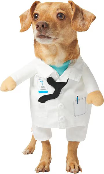 Frisco Front Walking Doctor Dog & Cat Costume | Chewy.com