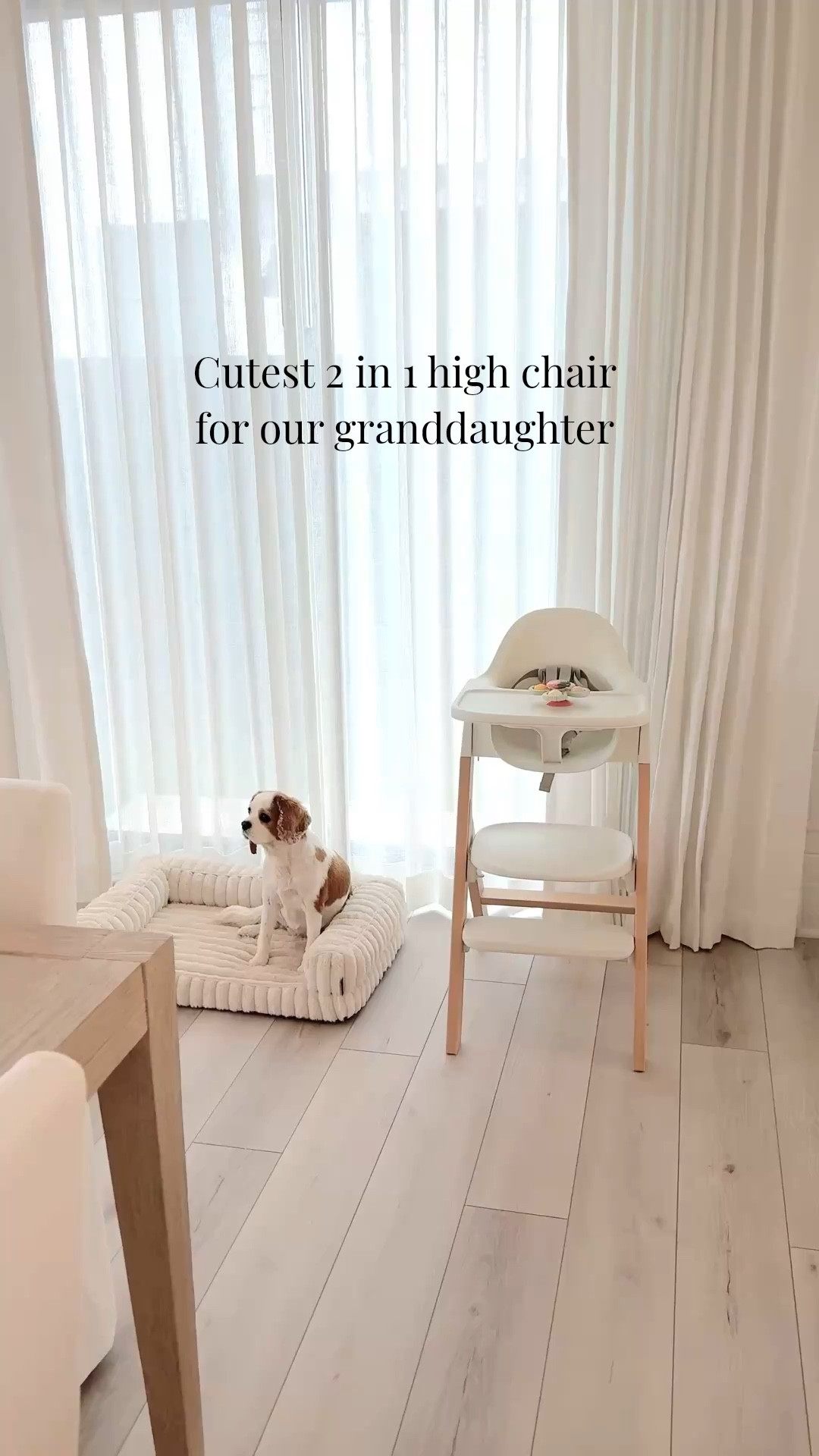 This 2-in-1 high chair converts to a child chair as your little one grows and it’s so easy to clean! Emma has one at her home as well. 🤍 We love it!
Also linking Maggie’s cozy sofa bed. She has the30” size and she’s 17 pounds. She loves to spread out. 🐶 

#LTKBaby #LTKHome #LTKmomlife