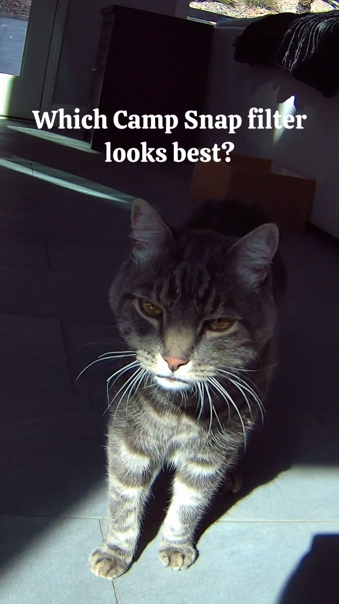 If you’re considering a new digital video camera or Camp Snap CS-8 digital video camera you can see what all 5 filters look like in this video as well as the unedited quality. Use my discount code EVEDAWES7 for 7% off xoxo

#LTKtravel #LTKVideo