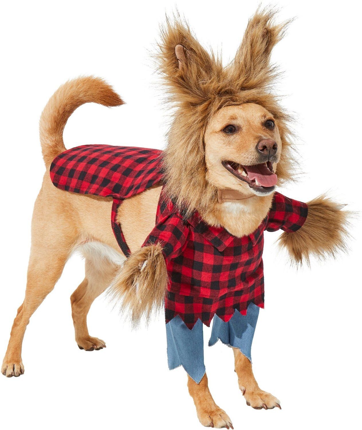 Frisco Front Walking Werewolf Dog & Cat Costume | Chewy.com