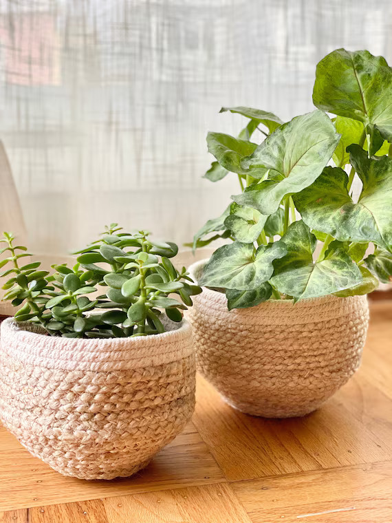 Seagrass Planter Pot | Etsy (US)