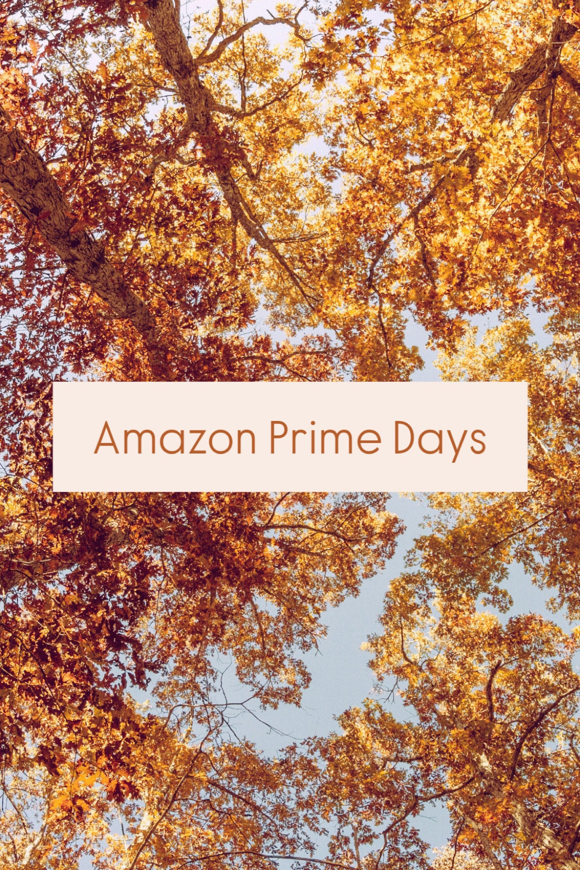 #LTKautumn #LTKkids #LTKsale