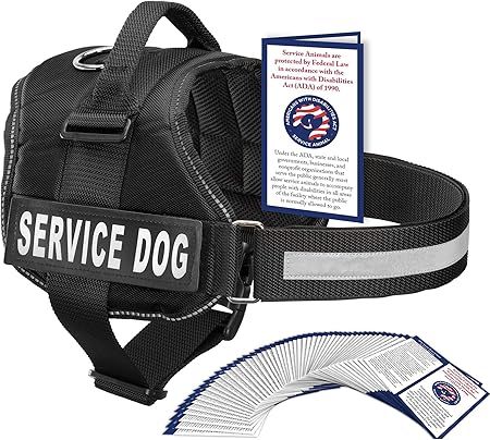 Industrial Puppy Service Dog Vest with Hook and Loop Straps and Handle - Harness is Available in ... | Amazon (US)