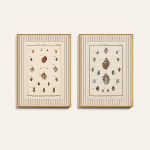 Caracol del Mar Art | Ballard Designs, Inc.