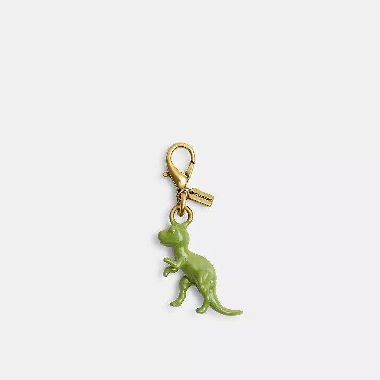 DIY Dinosaur Charm | Coach (US)