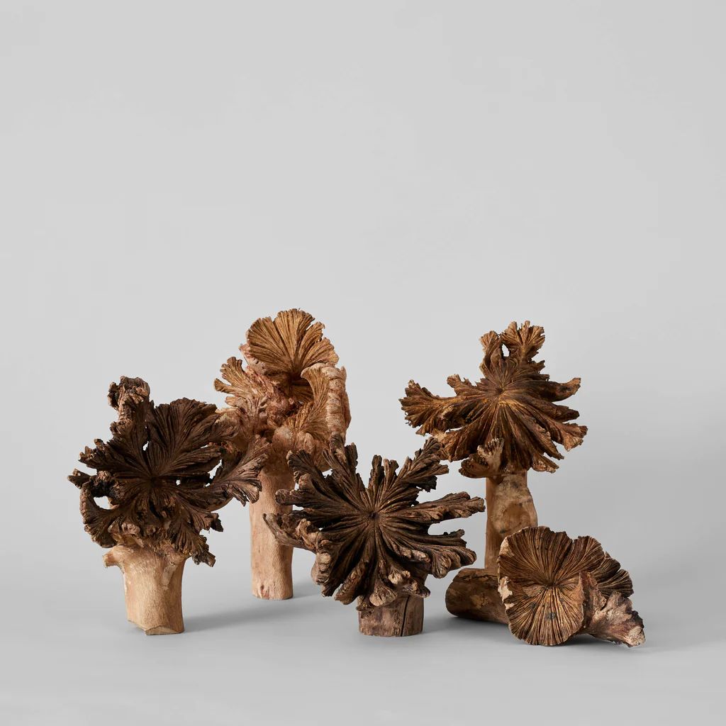 Wood Flower | Bloomist