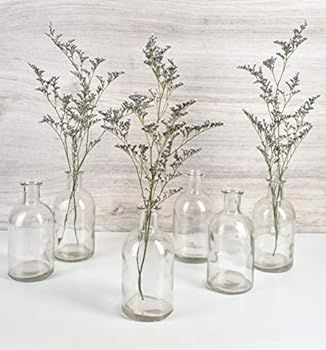 Serene Spaces Living Bud Vases, Apothecary Jars, Decorative Glass Bottles, Centerpiece for Weddin... | Amazon (US)