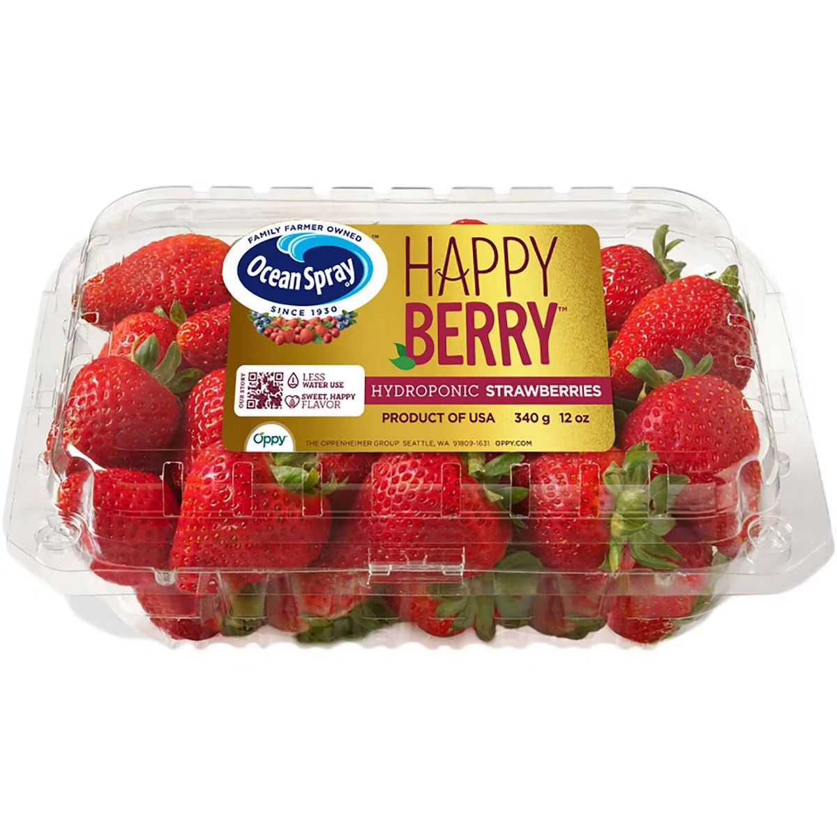 Ocean Spray Happy Berry Hydroponic Strawberries - 12oz | Target