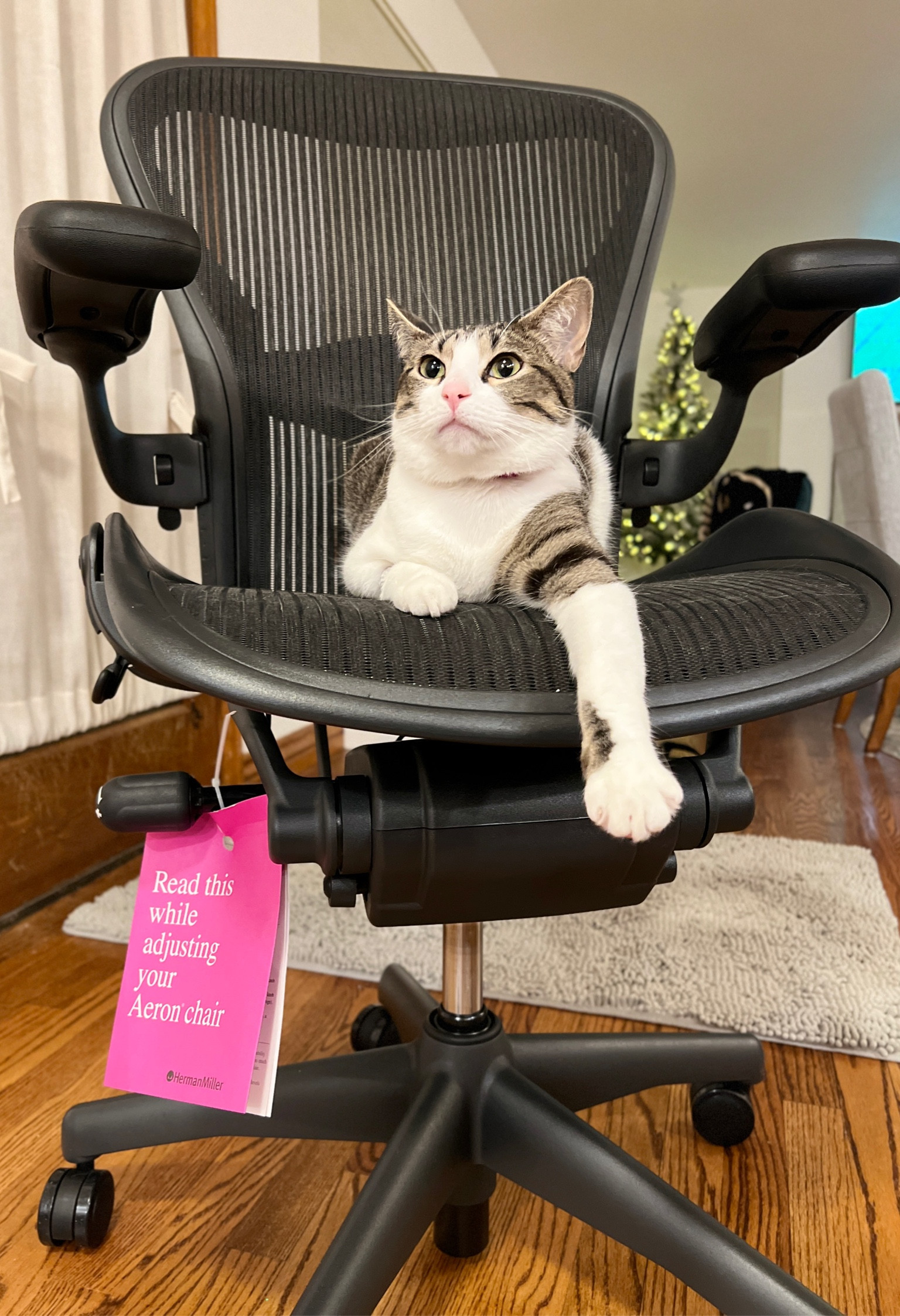 This is an elite office chair. We bought one for our son after major back surgery. He spends a lot of time in this chair whose creators revolutionized the office furniture industry. 
It is a functional investment piece for sustainability, human centered design and longevity. 

#LTKhome #LTKGiftGuide