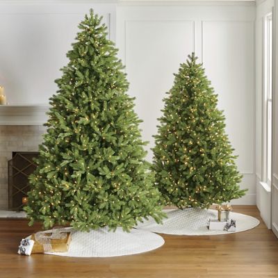 Balsam Fir Full Profile Tree | Frontgate | Frontgate