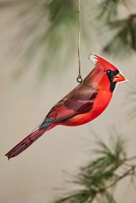 Puffed Enamel Cardinal Ornament | Anthropologie (US)