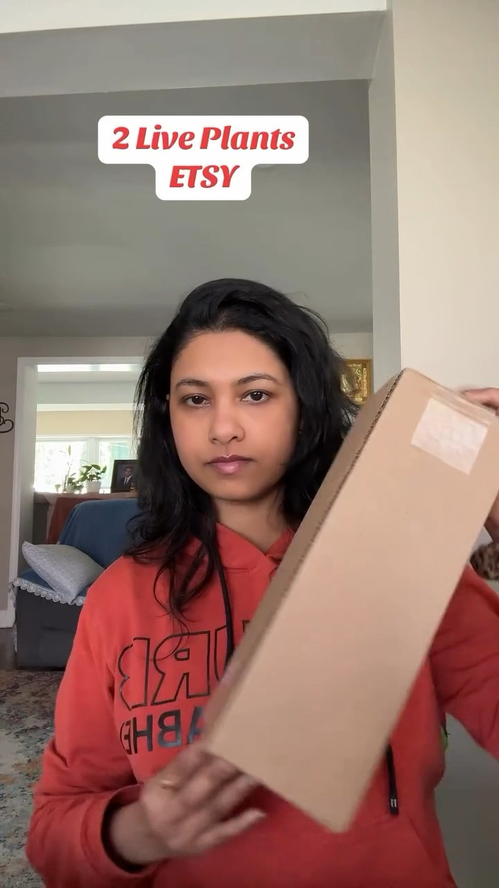 Live Plants Online !

I Bought flowers seeds and Live Plants for the first time 💚 @etsy 

Zephyranthes rosea | Pink Rain Lily | 10 Seeds - https://bit.ly/4jiEy5u

Convolvulus tricolor | Dwarf Morning Glory | Blue Ensign | 25 Seeds - https://bit.ly/3Y8YwXZ

Arabian Tea Jasmine, Jasmine Sambac - https://bit.ly/3FPsdHr

Fittonia White Nerve plant - https://bit.ly/4chD894

#etsycreatorco #ad #etsytiktok #etsyfinds #etsydecor #etsyhomedecor #etsycreatorcollective #creatorcollective #etsyvintagefinds #etsyshop #etsyfinds #etsy #plants #gardening #gardeningtips #planters #pamdsouza