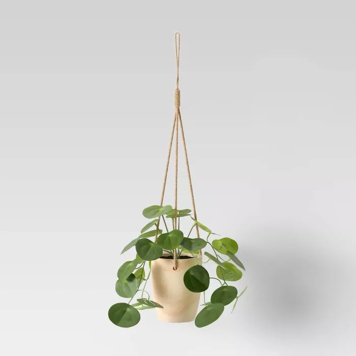 Hanging Succulent with Wood Base - Opalhouse™ | Target