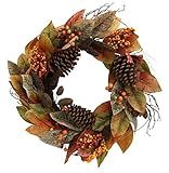 Admired By Nature GFW7014-NATURAL Fall Wreath, 24-Inches, Red | Amazon (US)