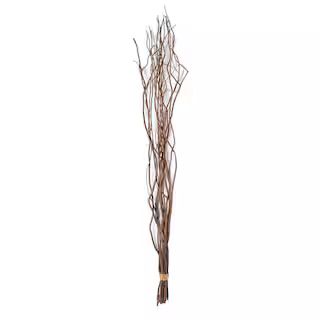 Natural Tall Curly Willow by Ashland® | Michaels Stores